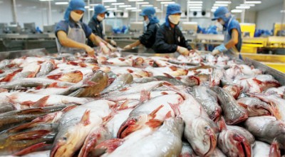 Việt Nam xuất khẩu lao động đánh cá và xây dựng sang Thái Lan 